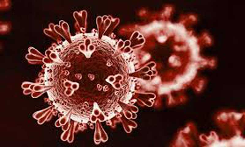 করোনায় আক্রান্ত প্রোটিয়া ক্রিকেটার!