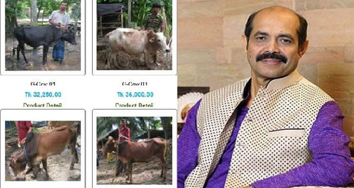 অনলাইনে কেনা কোরবানির পশুর হাসিল থাকবে না: মেয়র আতিক
