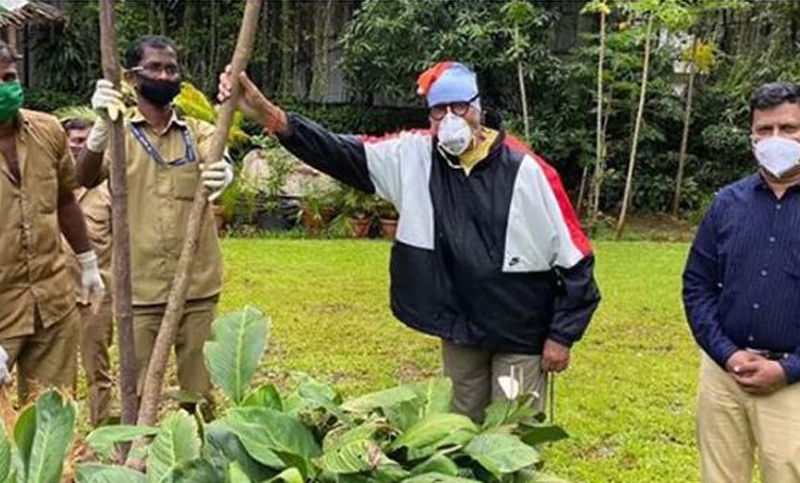 করোনামুক্তির পর প্রকাশ্যে অমিতাভ, মায়ের স্মৃতিতে লাগালেন গুলমোহর