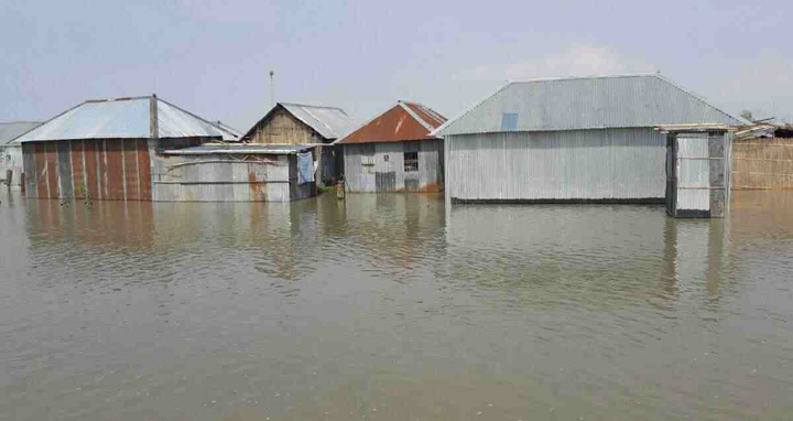 ফের বিপৎসীমার ওপরে তিস্তার পানি, পানিবন্দি ১০ হাজার মানুষ