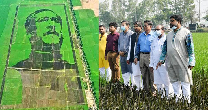 বঙ্গবন্ধুর আদর্শ ও চেতনায় অনুপ্রাণিত করবে ‘শস্যচিত্রে বঙ্গবন্ধু’ : কৃষিমন্ত্রী