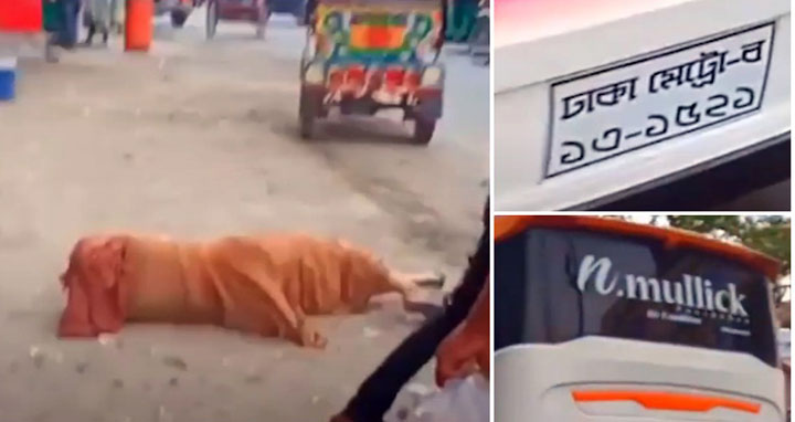 বাস থেকে প্রতিবন্ধী নারীকে ধাক্কা : গ্রেফতার ২