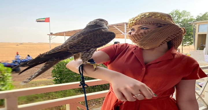 তুমি আমাকে খুঁজে পাবে: পরীমনি