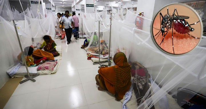 গত ২৪ ঘন্টায় আরও ৭৫ ডেঙ্গু রোগী শনাক্ত