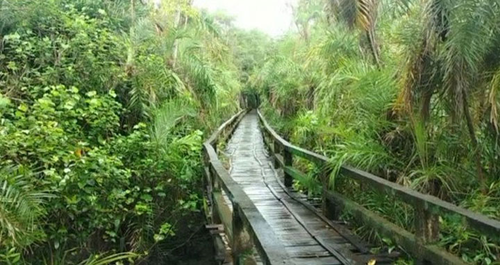 আফগানিস্তানে আফিম চাষ বন্ধের উদ্যোগ তালেবানের