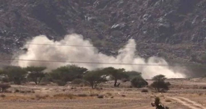 সৌদি জোটের হামলায় ২০০ হুথি বিদ্রোহী নিহত