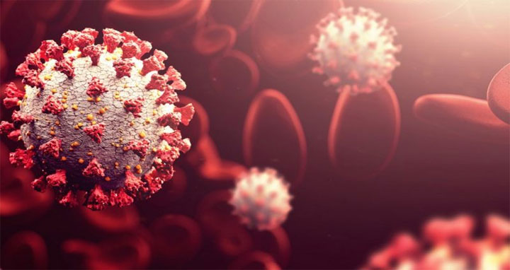 করোনাভাইরাসের ‘উদ্বেগজনক’ নতুন ভ্যারিয়েন্টের নাম ওমিক্রন