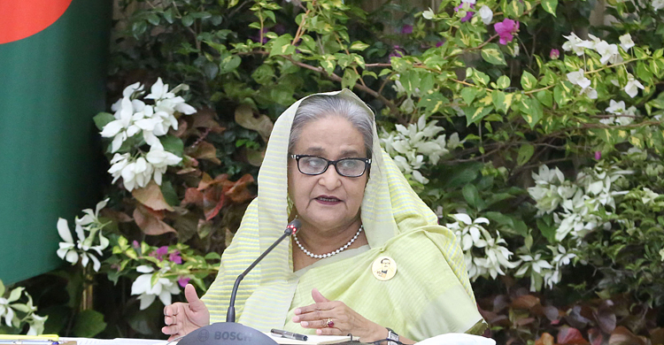 ‘আমাদের বিদ্রোহীদের হয়তো সমর্থন দিয়ে উসকে দেওয়া হচ্ছে’