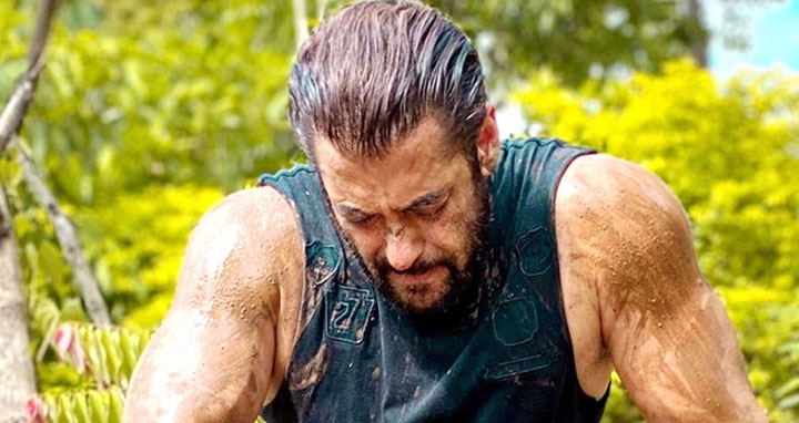 সাপের কামড় খেয়ে হাসপাতালে ভাইজান