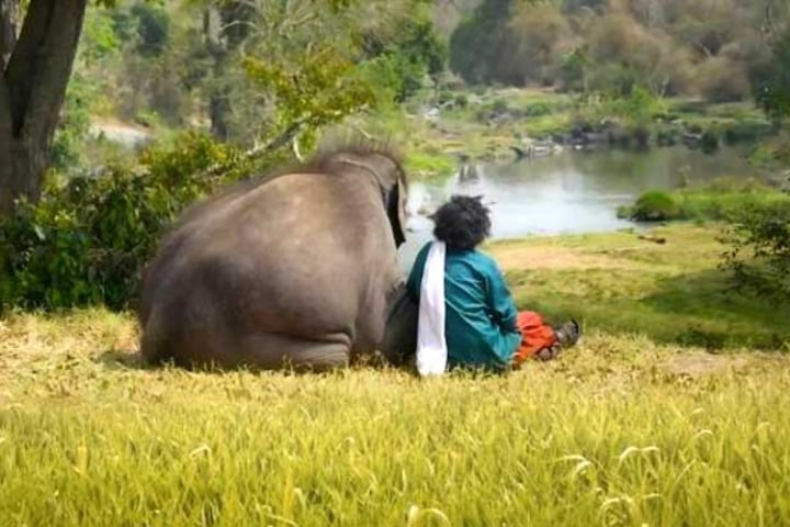 অস্কার পেল ভারতীয় ছবি ‘দ্য এলিফ্যান্ট হুইস্পারার্স’