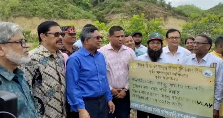 কাজু-কফি চাষে পাল্টে যাবে পাহাড়ের অর্থনৈতিক চেহারা : কৃষিমন্ত্রী