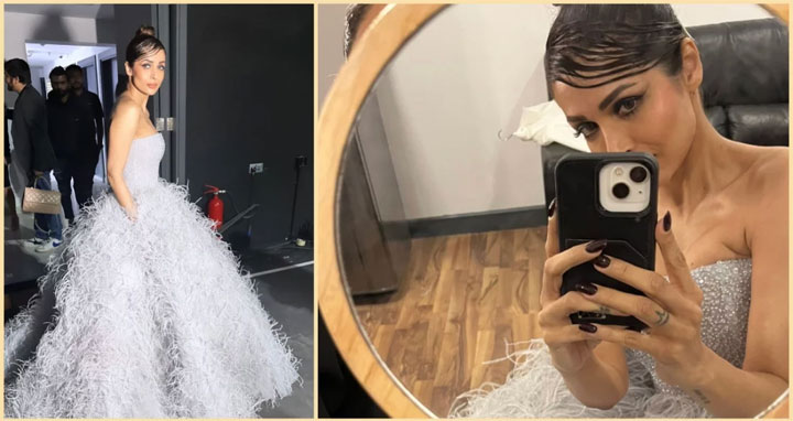 ‘বার্বি ডল’ লুকে ধরা দিলেন মালাইকা