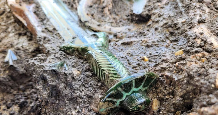 জার্মানিতে ৩ হাজার বছর আগের তরবারির সন্ধান