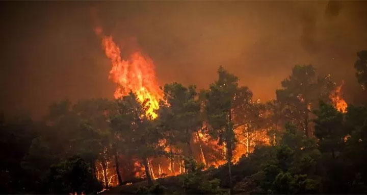 আলজেরিয়ায় ভয়াবহ দাবানলে ৩৪ মৃত্যু