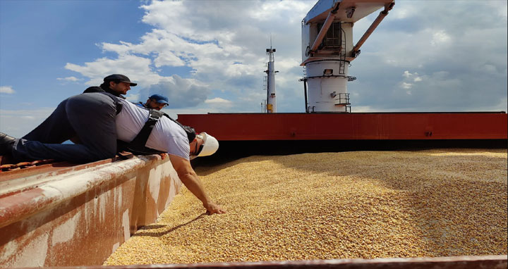 রাশিয়ার হুমকি : বিশ্বজুড়ে বেড়ে গেল গমের দাম