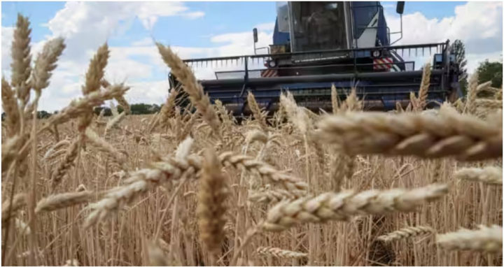 ক্রোয়েশিয়ার সঙ্গে শস্য রফতানির চুক্তি ইউক্রেনের