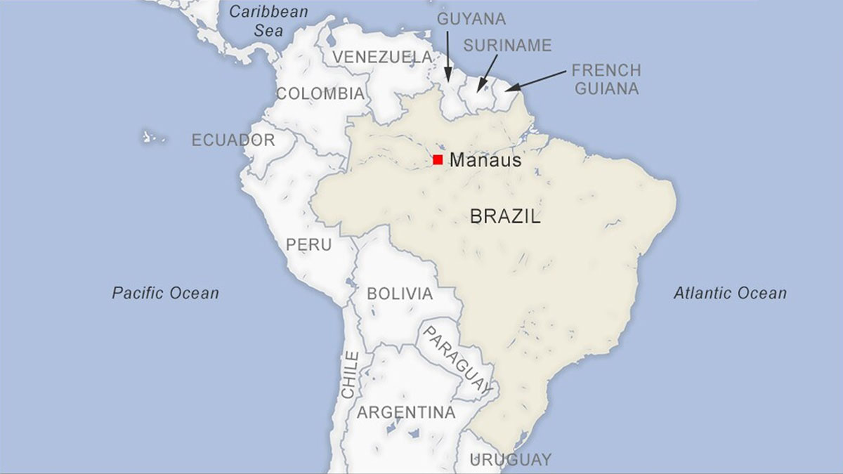 ব্রাজিলে বিমান বিধ্বস্ত হয়ে নিহত ১৪