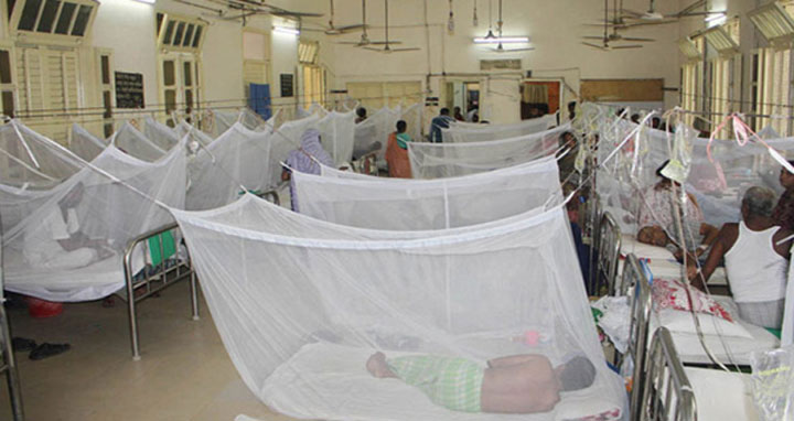 ডেঙ্গুতে আরও ১৪ মৃত্যু, হাসপাতালে ২৪২৫ রোগী