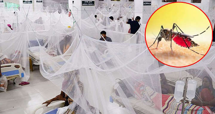 ডেঙ্গুতে আরও ৯ জনের মৃত্যু