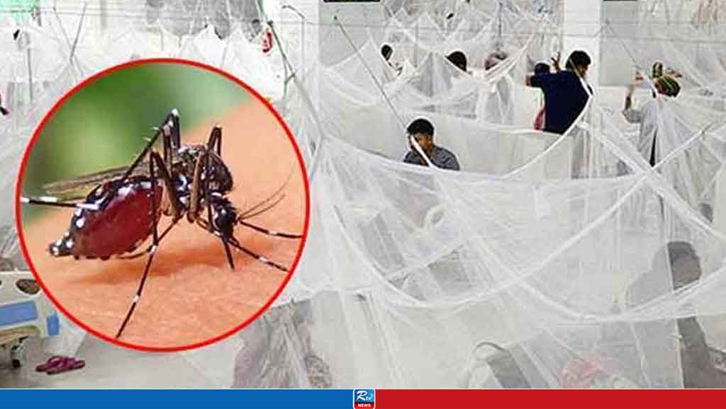 ২৪ ঘণ্টায় ডেঙ্গুতে চার মৃত্যু, হাসপাতালে ভর্তি ১৮৮