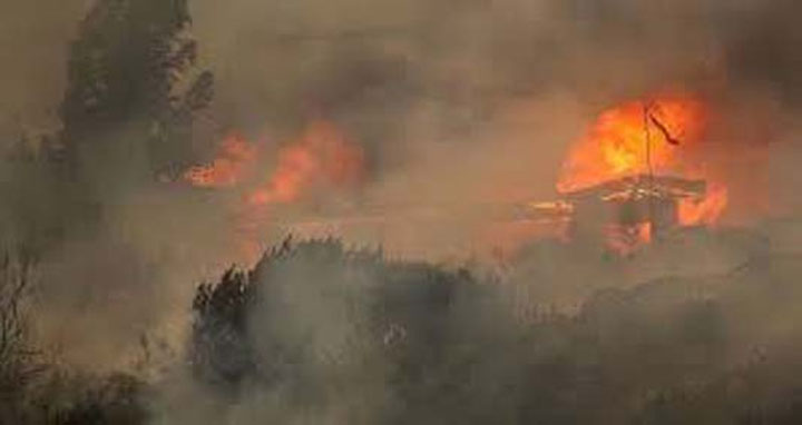 চিলিতে দাবানলে মৃতের সংখ্যা বেড়ে ১১২