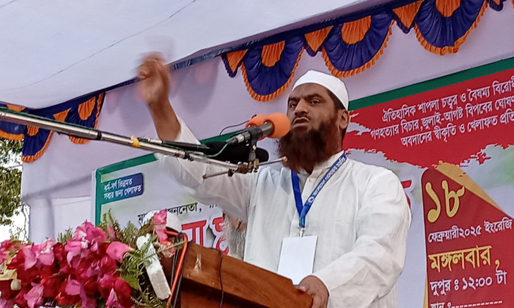 কোরআন-সুন্নাহবিরোধী আইন সংবিধানে সংযোজন করা যাবে না : মামুনুল হক