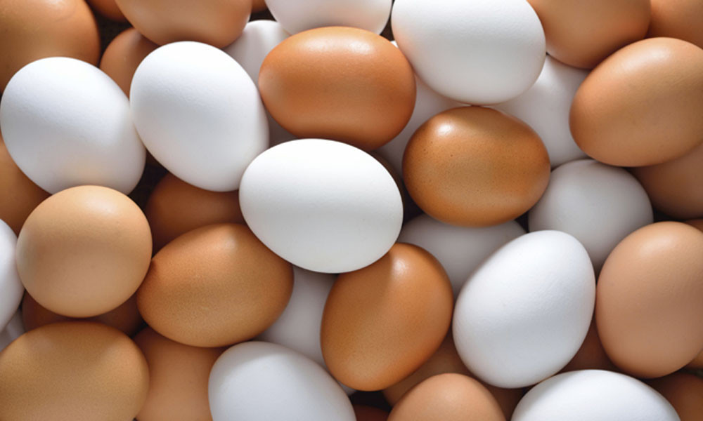 তুরস্ক-দক্ষিণ কোরিয়া থেকে ডিম কিনবে যুক্তরাষ্ট্র
