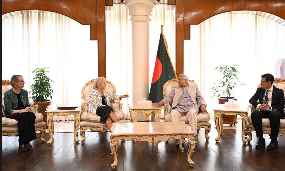 কম সংস্কার চাইলে ডিসেম্বরেই নির্বাচন হতে পারে : প্রধান উপদেষ্টা