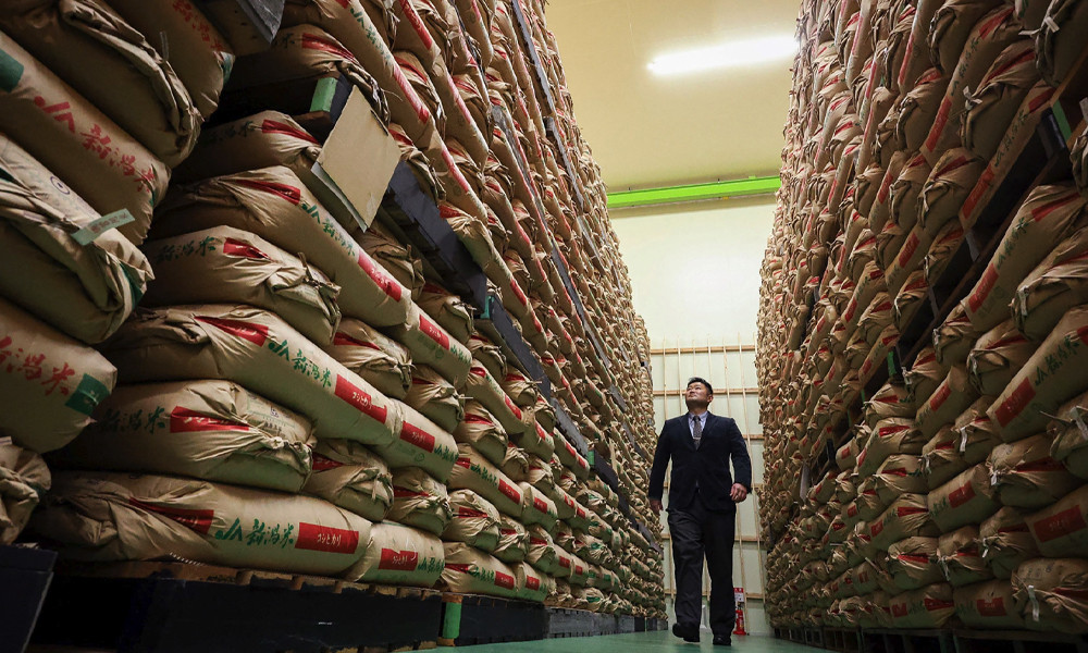 যে উপায়ে চালের দাম কমানোর প্রতিশ্রুতি দিল জাপান