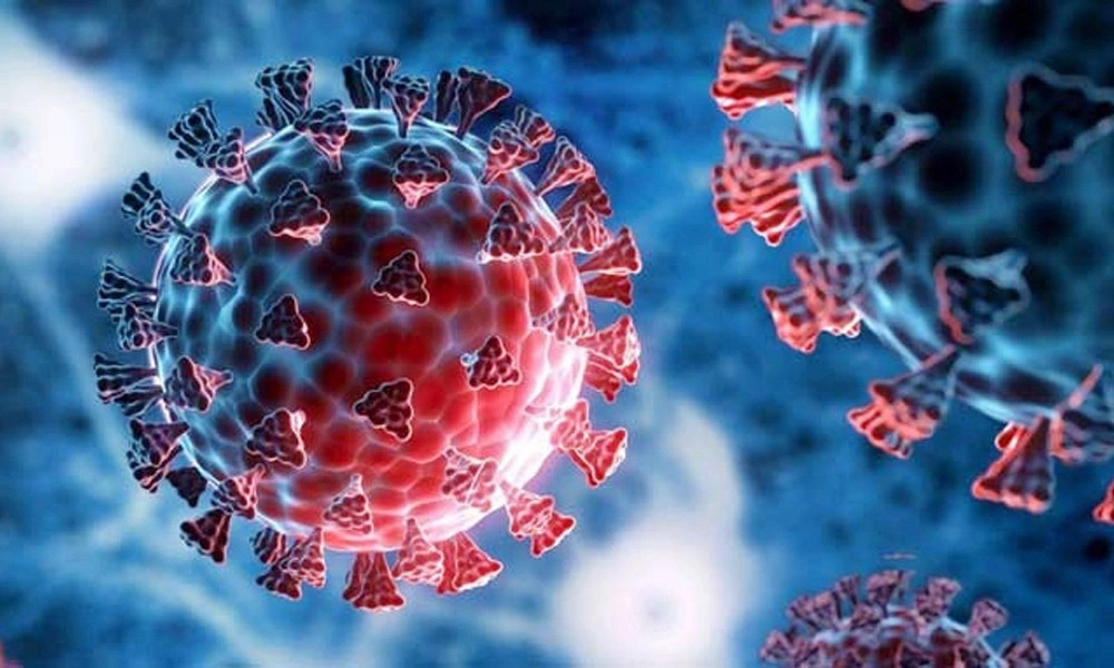 ২৪ ঘণ্টায় করোনায় মৃত্যু ২ জনের, শনাক্ত ৭