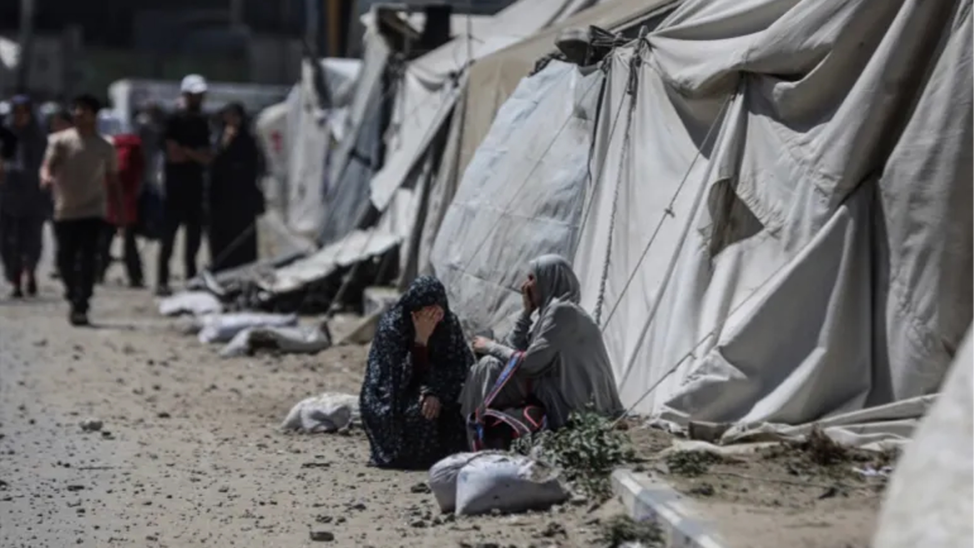 গাজায় ত্রাণ বিতরণ কেন্দ্রে ইসরাইলি সেনাদের গুলি, ১৪ ফিলিস্তিনি নিহত