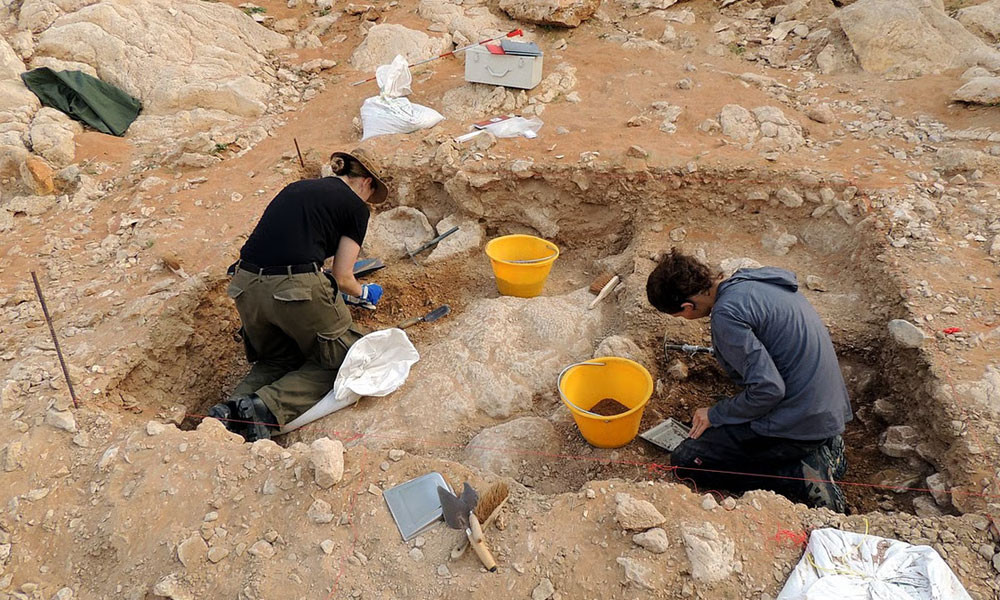 সংযুক্ত আরব আমিরাতে ৮০ হাজার বছরের প্রাচীন সরঞ্জাম উদ্ধার