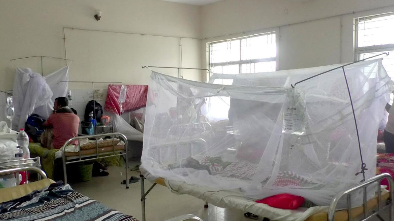 ডেঙ্গু আক্রান্ত রোগী ২০ হাজার ছাড়িয়েছে