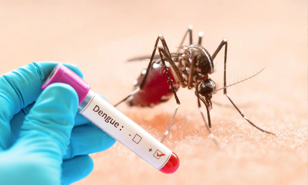 ২৪ ঘণ্টায় ডেঙ্গুতে আরো একজনের মৃত্যু, হাসপাতালে ৪১৬