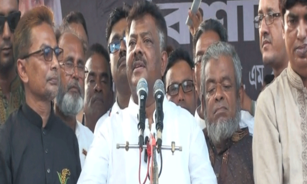 গণ-অভ্যুত্থান না হলে স্বাধীনভাবে সভা-সমাবেশে কথা বলতে পারতাম না : দুলু