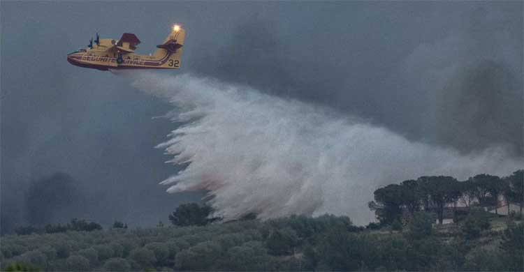 ফ্রান্সে ভয়াবহ দাবানল, ১১ হাজার হেক্টর এলাকার গাছপালা পুড়ে ছাই