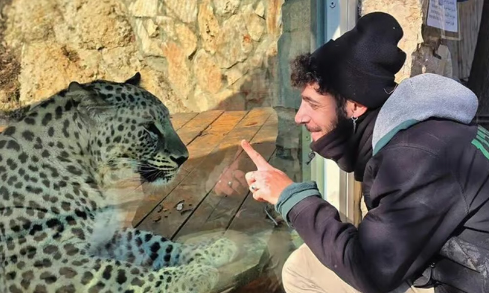 বিশ্ব  জেরুজালেমে বাঘের আক্রমণে চিড়িয়াখানাকর্মী নিহত