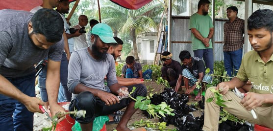 শিক্ষার্থীদের মধ্যে বিতরণ হবে দেড় লক্ষাধিক বিনালেবু-১ চারা