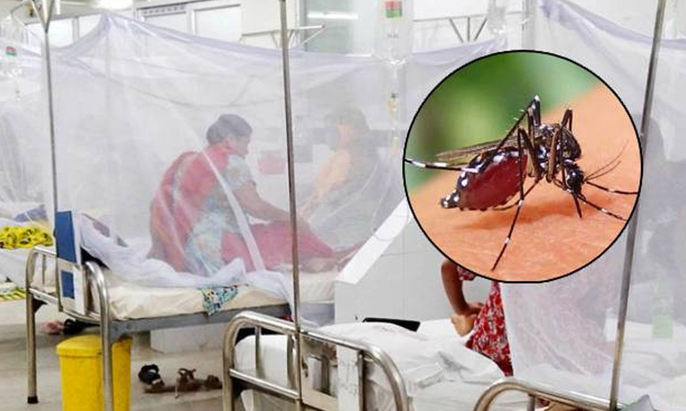 ডেঙ্গুতে আরো ২ মৃত্যু