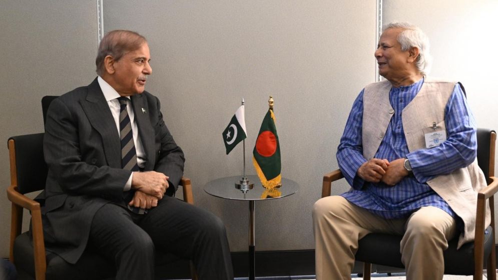 পাকিস্তানের প্রধানমন্ত্রীর সঙ্গে প্রধান উপদেষ্টার বৈঠক