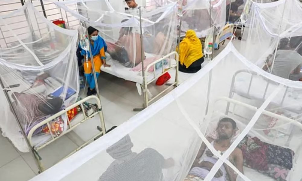 ডেঙ্গুতে সংক্রমণ ৬০ হাজার ছুঁই ছুঁই