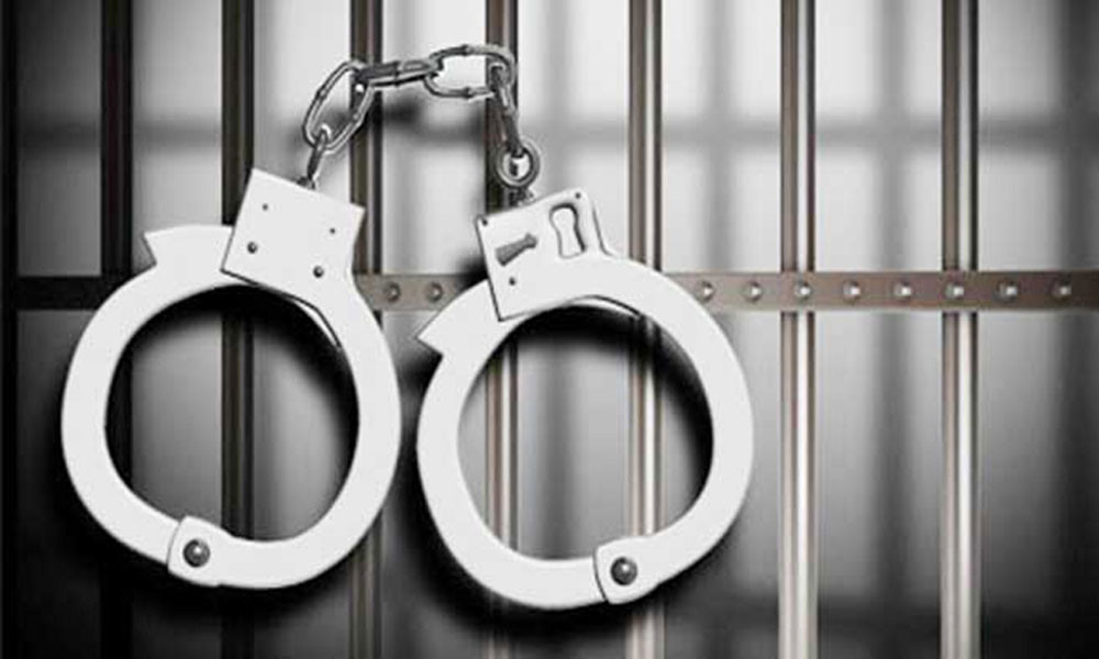 ডিএমপির বিশেষ অভিযানে ১৪ জন গ্রেপ্তার