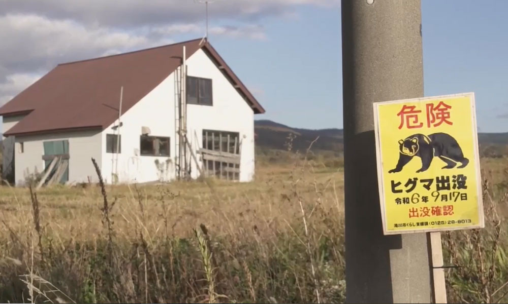 বেড়েছে ভালুকের আক্রমণ, শিকারি ভাড়া করবে জাপান সরকার