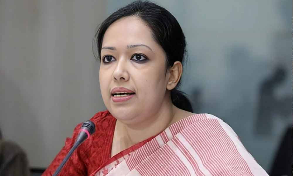 যারা ভারতপন্থী শাসন চায়, তারাই দেশকে অস্থিতিশীল করছে : রুমিন ফারহানা