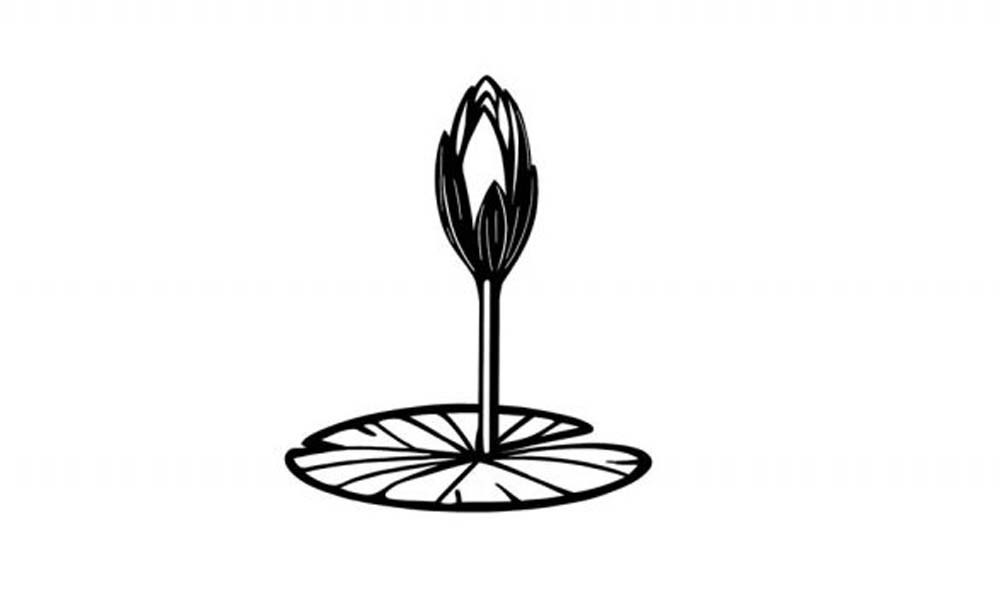 এনসিপির শাপলা কলির স্কেচ যুক্ত করল ইসি