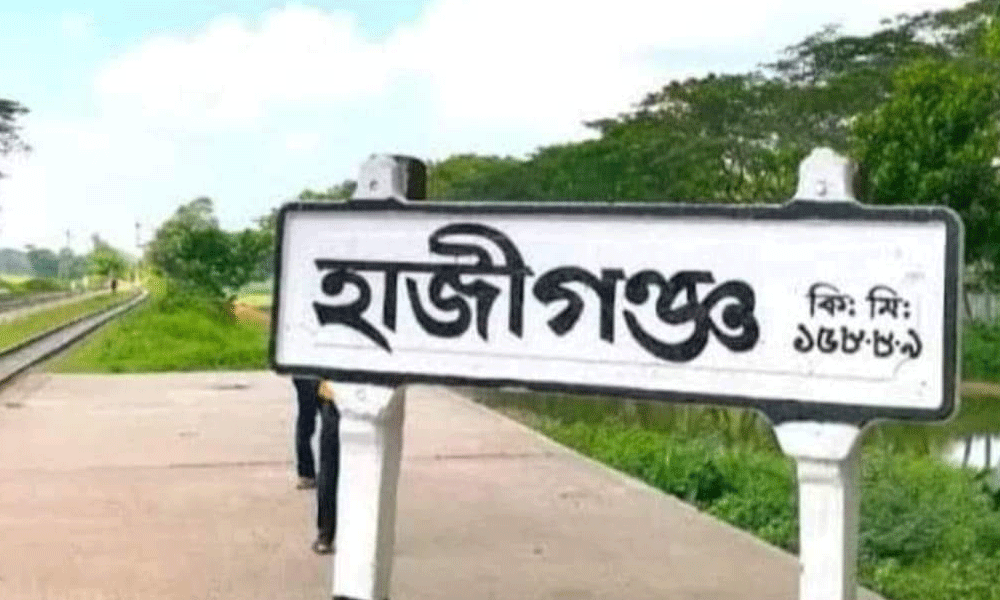 চাঁদপুরে মায়ের দাফন চলাকালে মারা গেলেন মেয়ে