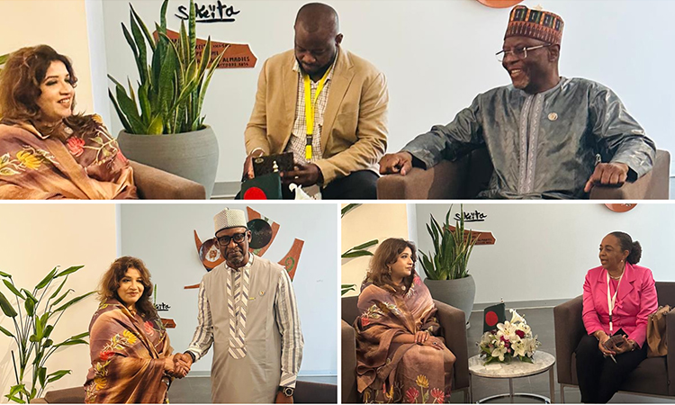 আফ্রিকান দেশগুলোর সঙ্গে সম্পর্ক জোরদারে একাধিক বৈঠক পররাষ্ট্র প্রতিমন্ত্রীর