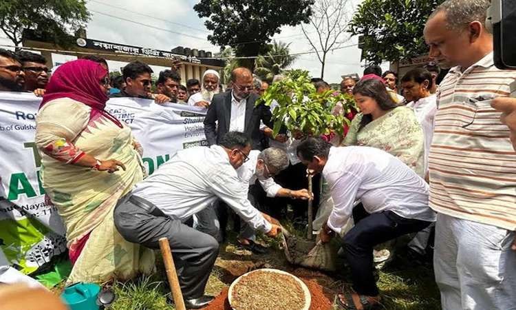 জলবায়ু পরিবর্তনের ঝুঁকি মোকাবেলায় গাছ বাঁচিয়ে রাখার লক্ষ্য সরকারের : বন ও পরিবেশ প্রতিমন্ত্রী