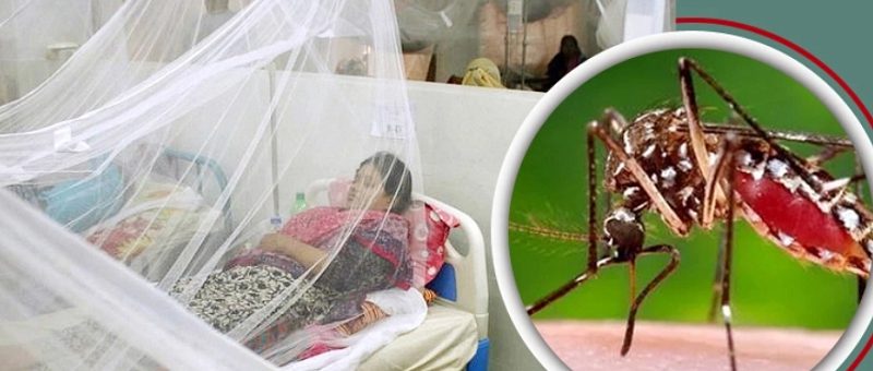 ডেঙ্গুতে মৃত্যু ২০০ ছাড়াল