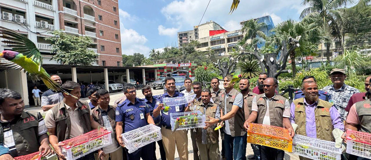 বাসের সাইড বক্সে পাওয়া শতাধিক প্যারাকিট টিয়া উড়ে গেল আকাশে